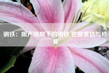 钢铁：限产预期下的钢铁 把握重估与修复