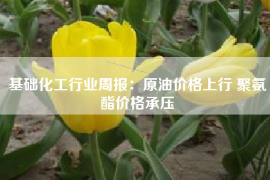 基础化工行业周报：原油价格上行 聚氨酯价格承压