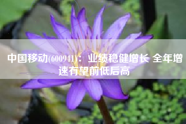 中国移动(600941)：业绩稳健增长 全年增速有望前低后高