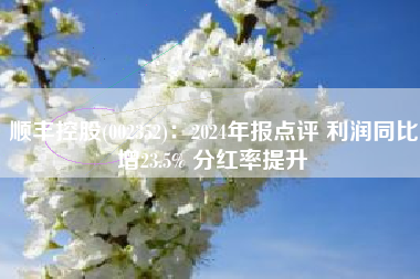 顺丰控股(002352)：2024年报点评 利润同比增23.5% 分红率提升