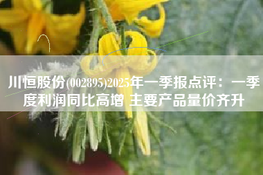 川恒股份(002895)2025年一季报点评：一季度利润同比高增 主要产品量价齐升