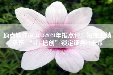 顶点软件(603383)2024年报点评：短期业绩承压 “AI+信创”锁定证券IT未来