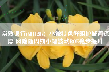 常熟银行(601128)：小微特色鲜明护城河深厚 风险随周期小幅波动ROE稳步提升
