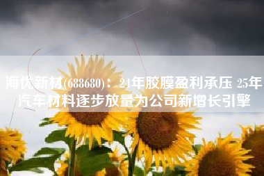 海优新材(688680)：24年胶膜盈利承压 25年汽车材料逐步放量为公司新增长引擎