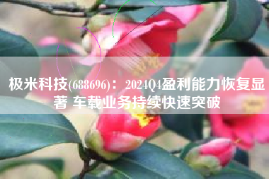 极米科技(688696)：2024Q4盈利能力恢复显著 车载业务持续快速突破