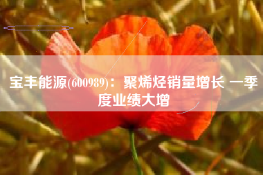 宝丰能源(600989)：聚烯烃销量增长 一季度业绩大增