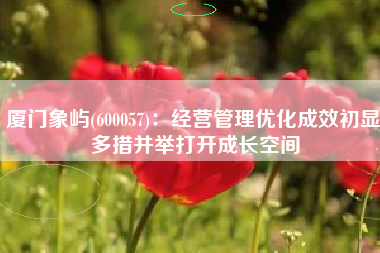 厦门象屿(600057)：经营管理优化成效初显 多措并举打开成长空间