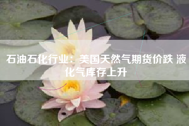 石油石化行业：美国天然气期货价跌 液化气库存上升