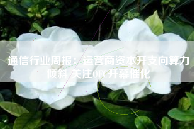 通信行业周报：运营商资本开支向算力倾斜 关注OFC开幕催化
