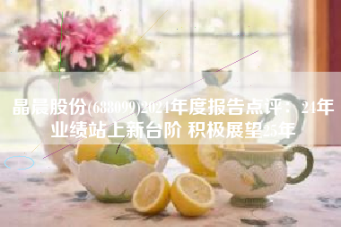 晶晨股份(688099)2024年度报告点评：24年业绩站上新台阶 积极展望25年