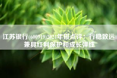 江苏银行(600919)2024年报点评：行稳致远 兼具红利保护和成长弹性
