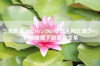三全食品(002216)：2024年收入同比减少6% 积极观察下游渠道变革