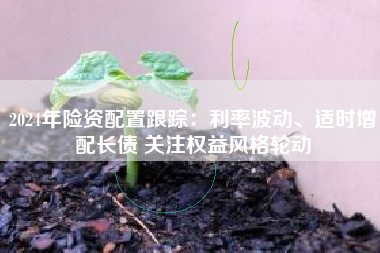 2024年险资配置跟踪：利率波动、适时增配长债 关注权益风格轮动
