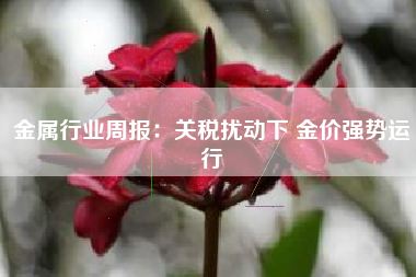 金属行业周报：关税扰动下 金价强势运行