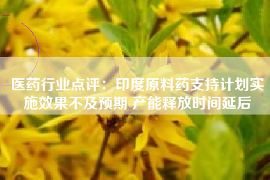 医药行业点评：印度原料药支持计划实施效果不及预期 产能释放时间延后