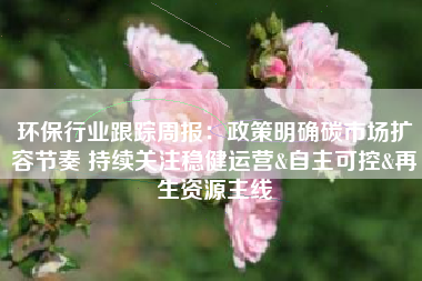 环保行业跟踪周报：政策明确碳市场扩容节奏 持续关注稳健运营&自主可控&再生资源主线