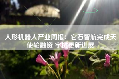 人形机器人产业周报：它石智航完成天使轮融资 宇树更新进展