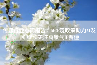 传媒行业点评报告:MCP及政策助力AI发展 继续关注高景气IP赛道 传媒行业点评报告:MCP及政策助力AI发展 继续关注高景气IP赛道