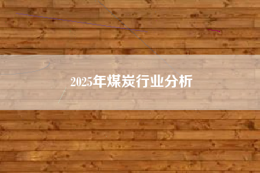 2025年煤炭行业分析