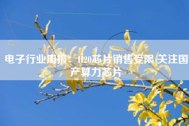 电子行业周报：H20芯片销售受限 关注国产算力芯片
