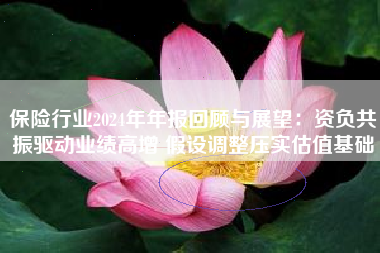 保险行业2024年年报回顾与展望：资负共振驱动业绩高增 假设调整压实估值基础