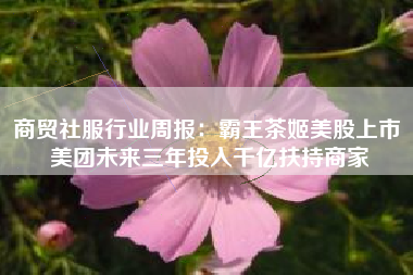 商贸社服行业周报：霸王茶姬美股上市 美团未来三年投入千亿扶持商家
