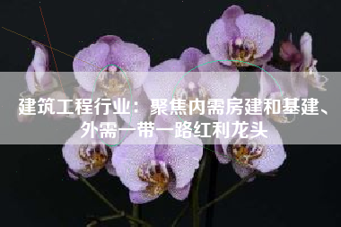建筑工程行业：聚焦内需房建和基建、外需一带一路红利龙头