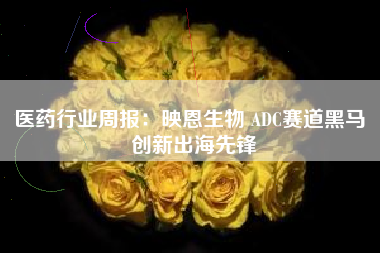 医药行业周报：映恩生物 ADC赛道黑马 创新出海先锋
