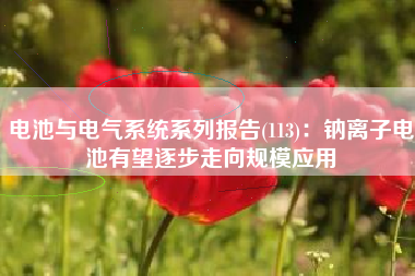 电池与电气系统系列报告(113)：钠离子电池有望逐步走向规模应用