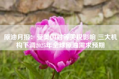 原油月报：受美国对等关税影响 三大机构下调2025年全球原油需求预期
