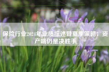 保险行业2024年业绩综述暨夏季策略：资产端仍是决胜手
