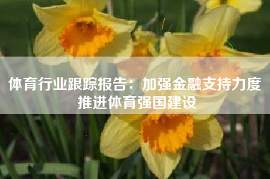 体育行业跟踪报告：加强金融支持力度 推进体育强国建设