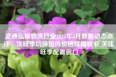 交通运输物流行业2025年3月数据动态点评:淡旺季切换国内价格降幅收窄 关注旺季配置窗口 交通运输物流行业2025年3月数据动态点评:淡旺季切换国内价格降幅收窄 关注旺季配置窗口