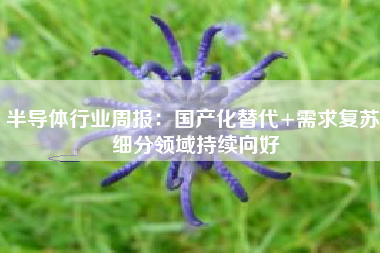 半导体行业周报：国产化替代+需求复苏 细分领域持续向好