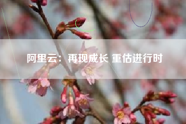 阿里云：再现成长 重估进行时