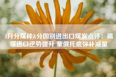 3月分煤种&分国别进出口煤炭点评：褐煤进口逆势提升 蒙俄托底弥补减量
