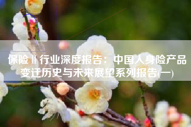 保险Ⅱ行业深度报告：中国人身险产品变迁历史与未来展望系列报告(一)