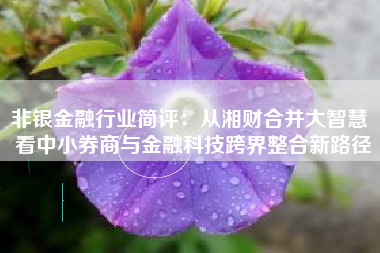 非银金融行业简评：从湘财合并大智慧 看中小券商与金融科技跨界整合新路径