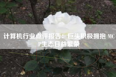 计算机行业点评报告：巨头积极拥抱 MCP生态日益繁荣