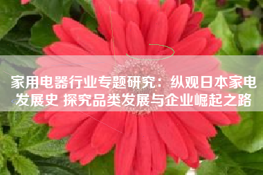 家用电器行业专题研究：纵观日本家电发展史 探究品类发展与企业崛起之路