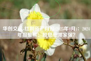 华创交运-红利资产月报(2025年4月)：2024年报聚焦：股息率哪家强？