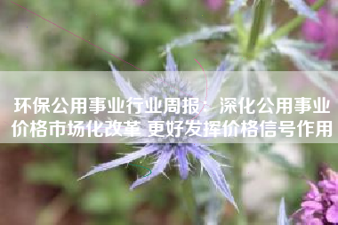 环保公用事业行业周报：深化公用事业价格市场化改革 更好发挥价格信号作用
