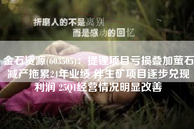 金石资源(603505)：提锂项目亏损叠加萤石减产拖累24年业绩 伴生矿项目逐步兑现利润 25Q1经营情况明显改善