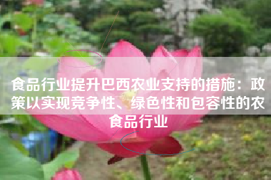 食品行业提升巴西农业支持的措施：政策以实现竞争性、绿色性和包容性的农食品行业