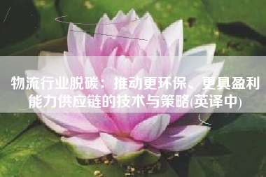 物流行业脱碳：推动更环保、更具盈利能力供应链的技术与策略(英译中)