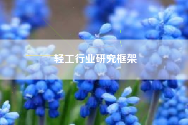 轻工行业研究框架