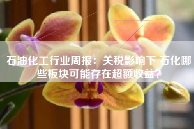 石油化工行业周报：关税影响下 石化哪些板块可能存在超额收益？
