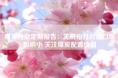煤炭行业定期报告：关税抬升对进口煤影响小 关注煤炭配置价值