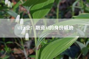 AI行业：融资AI的身份威胁