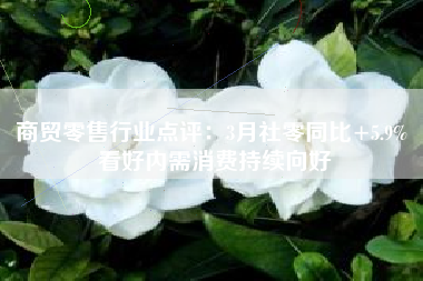 商贸零售行业点评：3月社零同比+5.9% 看好内需消费持续向好